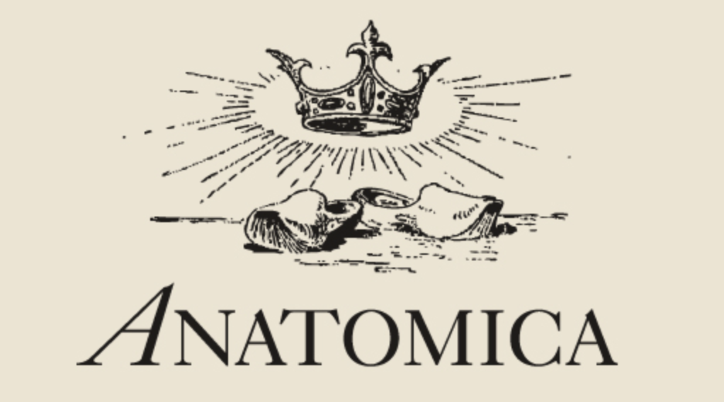 Logo Anatomica